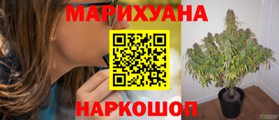 ГАЛЛЮЦИНОГЕННЫЕ ГРИБЫ Новоалтайск